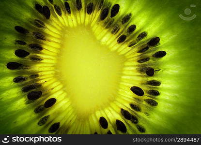 fresh green kiwi slice isolated