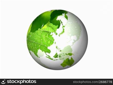 Fresh green leaf and globe