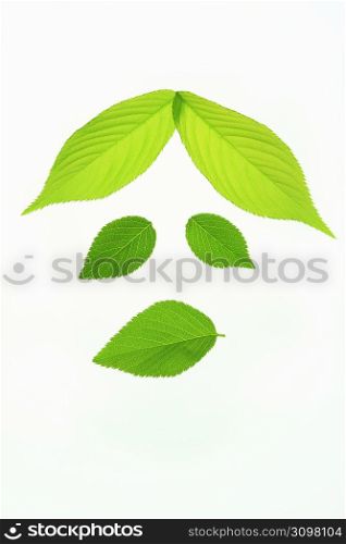Fresh green leaf face