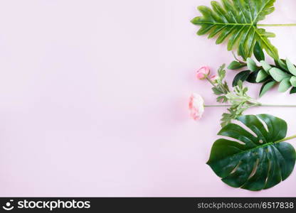 fresh green leaf. green tropical leaves and flowers on pink background