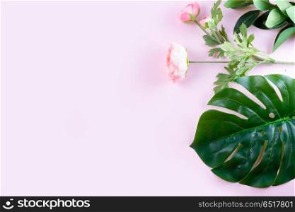 fresh green leaf. green tropical leaves and flowers on pink background with copy space