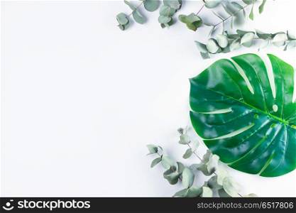 fresh green leaf. green tropical leaves border over white background