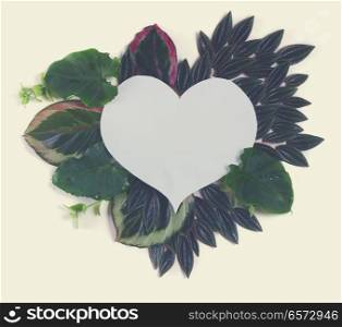 fresh green leaves frame, copy space on white heart, retro toned. fresh green leaves