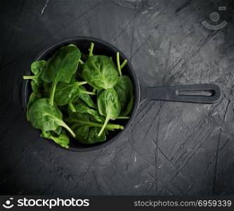 fresh green leaves in a black round frying pan with a handle on a black textural background, top view. fresh green leaves in a black round frying pan with a handle