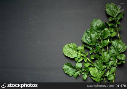fresh green leaves of arugula on a black wooden background, copy space