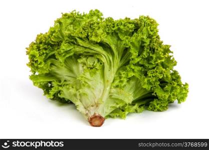 Fresh Green Lettuce isolated on a white background