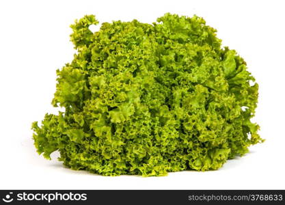 Fresh Green Lettuce isolated on a white background