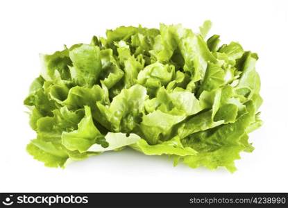Fresh green lettuce isolated over white background
