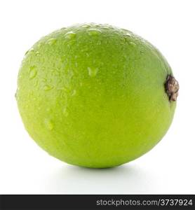 Fresh green lime isolated on white background.