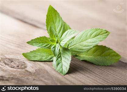 Fresh green mint on the wooden table closeup