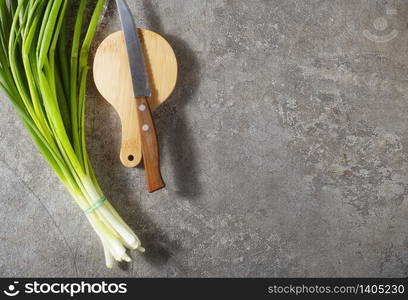 Fresh green onion for salad on gray background