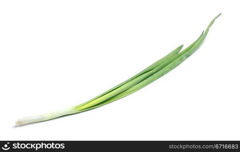 fresh green onions isolated on white background