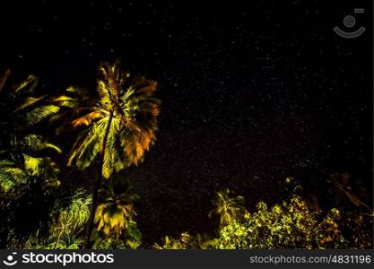 Fresh green palm leaves border on black starry night background, wonderful beauty of exotic nature, tropical vacation concept&#xA;