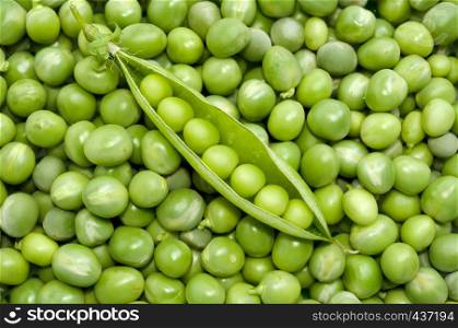 Fresh green pea pod in the middle on the background of green peas - directly above shot