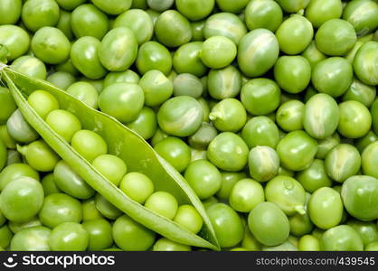 Fresh green pea pod on peas background - directly above shot