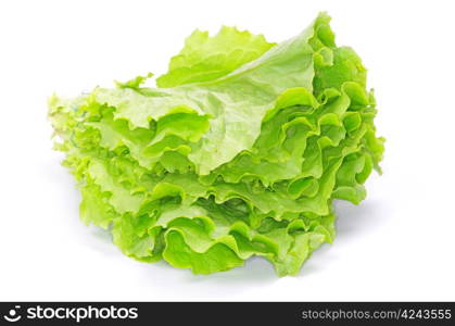 fresh green salad on white background