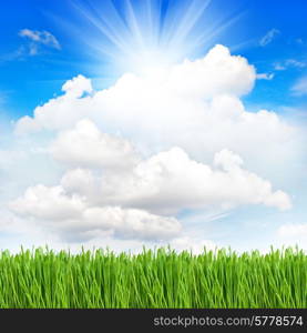 fresh green spring grass with water drops over perfect cloudy blue sky background. environment concept