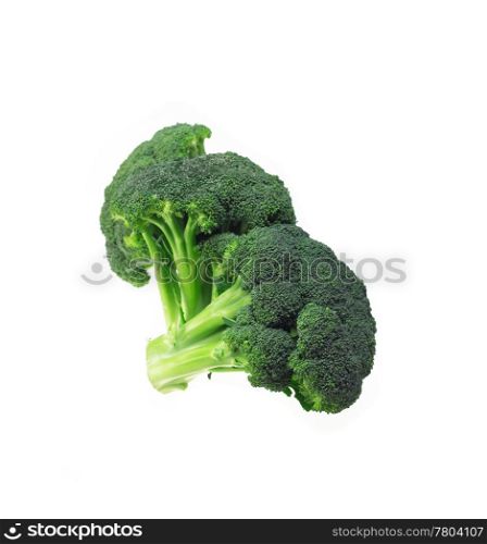 fresh green vivid broccoli isolated on white
