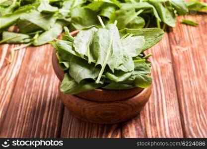 Fresh green whole sorrel leaves in a wooden bowl. Sorrel in a bowl