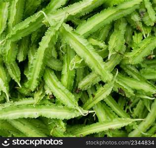 Fresh green winged beans (Psophocarpus tetragonolobus) as a background