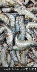 Fresh grey shrimps ready to sale in market