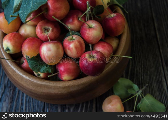 Fresh harvest of apples an a wooden background, nature fruit concept