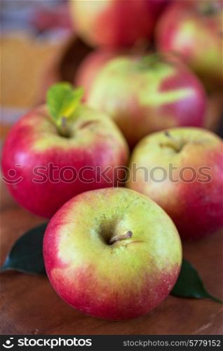 Fresh harvest of ripe apples. Nature fruit concept.. harvest of apples