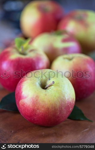 Fresh harvest of ripe apples. Nature fruit concept.. harvest of apples