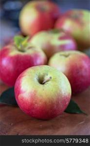 Fresh harvest of ripe apples. Nature fruit concept.. harvest of apples