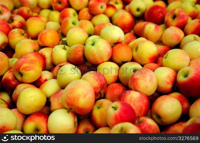 Fresh harvested apples in various shades of red and yellow. Yellow And Red Apple