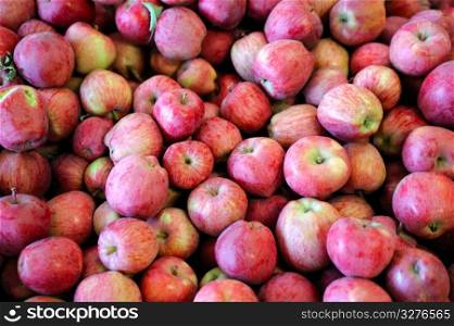 Fresh harvested apples in various shades of red with yellow and light green stripes. Red And Yellow Apple