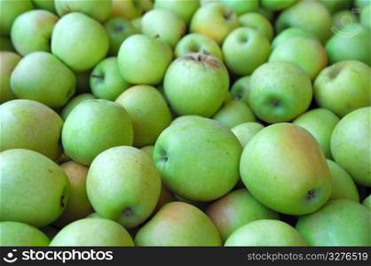 Fresh harvested green apples . Green Apple