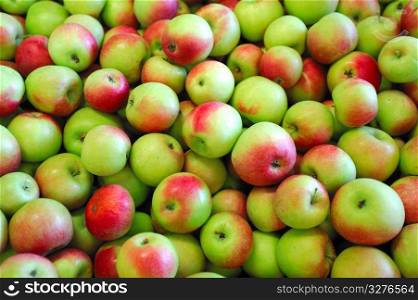 Fresh harvested green apples partially turned red. Green And Red Apple