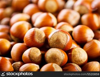 Fresh hazelnuts as background