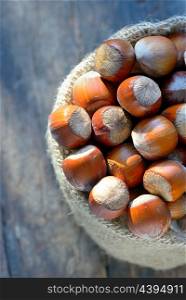 fresh hazelnuts in a burlap bag