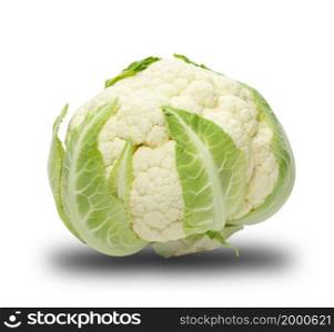 Fresh head of cauliflower on white background, ingredient for salad and dishes