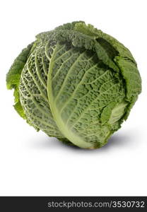 Fresh healthy looking savoy cabbage isolated on white background.