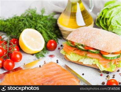 Fresh healthy salmon sandwich with lettuce and cucumber on the plate on stone background. Breakfast snack. Fresh tomatoes, dill and lemon.