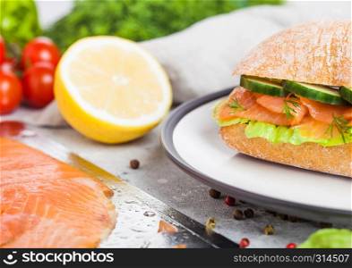 Fresh healthy salmon sandwich with lettuce and cucumber on the plate on stone background. Breakfast snack. Fresh tomatoes, dill and lemon.