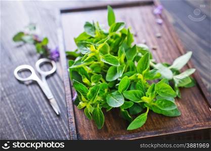 fresh herb on kitchen table, different kind of herb