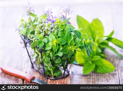 fresh herbal in metal basket and on a table