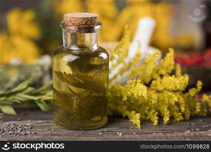 Fresh herbs and oils, wooden table background