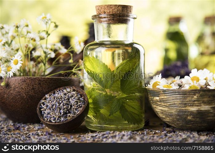 Fresh herbs and oils, wooden table background