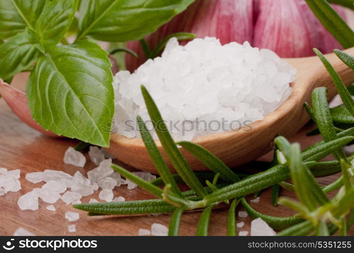 Fresh herbs and salt spoon on vintage wooden background. Shallow focus.