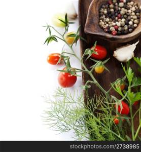 Fresh herbs and spices (tomatoe, garlic, pepper,dill) With copyspace