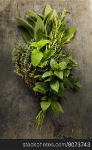 Fresh herbs for cooking on rustic background