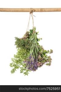Fresh herbs. Hanging bunches isolated on white background. Thyme, oregano, marjoram, lavender. Spices and food ingredients