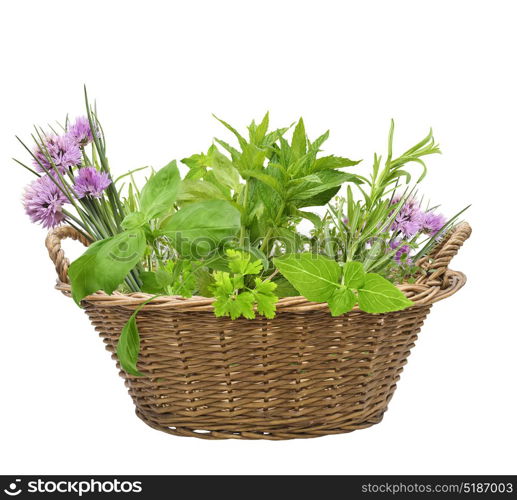 Fresh herbs in a basket isolated on white background. Fresh herbs in a basket