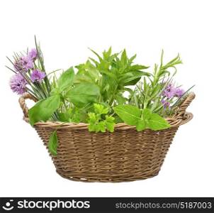 Fresh herbs in a basket isolated on white background. Fresh herbs in a basket
