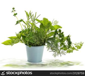 Fresh Herbs In A Pot